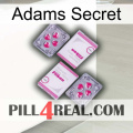 Adams Secret 33